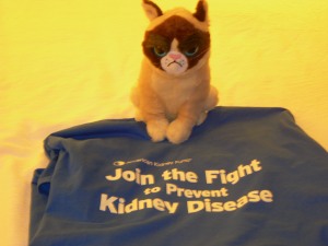 Kidney Disease; I hate it!